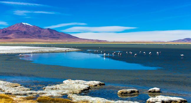 Atacama Desert with Flamingos, Chile
