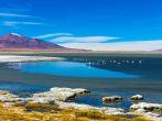 Atacama Desert with Flamingos, Chile