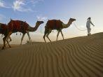 Camel Excursion into Empty Quarter, Lahbab, Dubai, United Arab Emirates