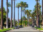 BEVERLY HILLS, CA - OCT 21: Palm trees street in Beverly Hills, Los Angeles, California, USA seen on OCT 21, 2014. Beverly Hills is famous for high-end shopping venue and celebrities homes