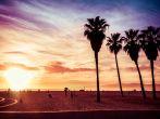 Venice Beach. Sunset. Summer concept.
