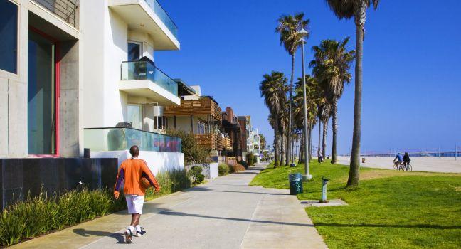 Venice Beach, sand and palmtrees, Los Angeles.