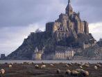 A solitary shepherd's cane is his biggest ally out on the marshes beneath the 13th century island abbey, where deadly quicksand and racing tides can be vocational hazards, Mont St. Michel: France