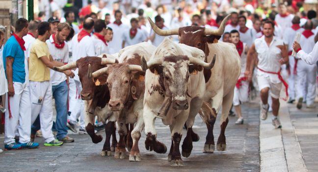 PAMPLONA, SPAIN-JULY 9: People run from bulls on street during San Fermin festival in Pamplona, Spain on July 9, 2013..