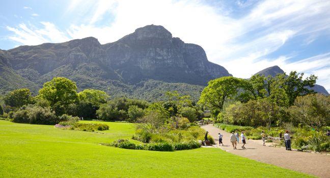 Kirstenbosch National Botanical Garden Review - Cape Town South Africa -  Sights | Fodor's Travel