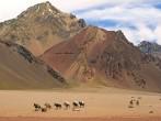 Beautiful mountain landscape in the Andes with group of horses and hikers in front, Argentina, South America; 