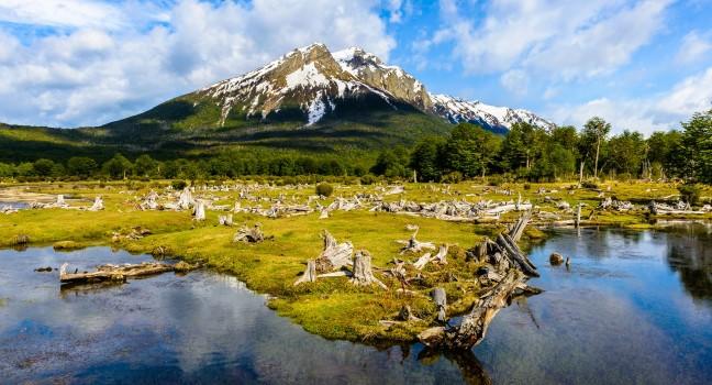 Incredible landscape of the Ushuaia National Park, Argentina, South America; 