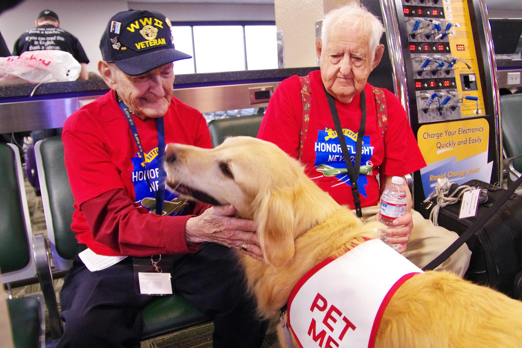 Airports With Therapy Dogs