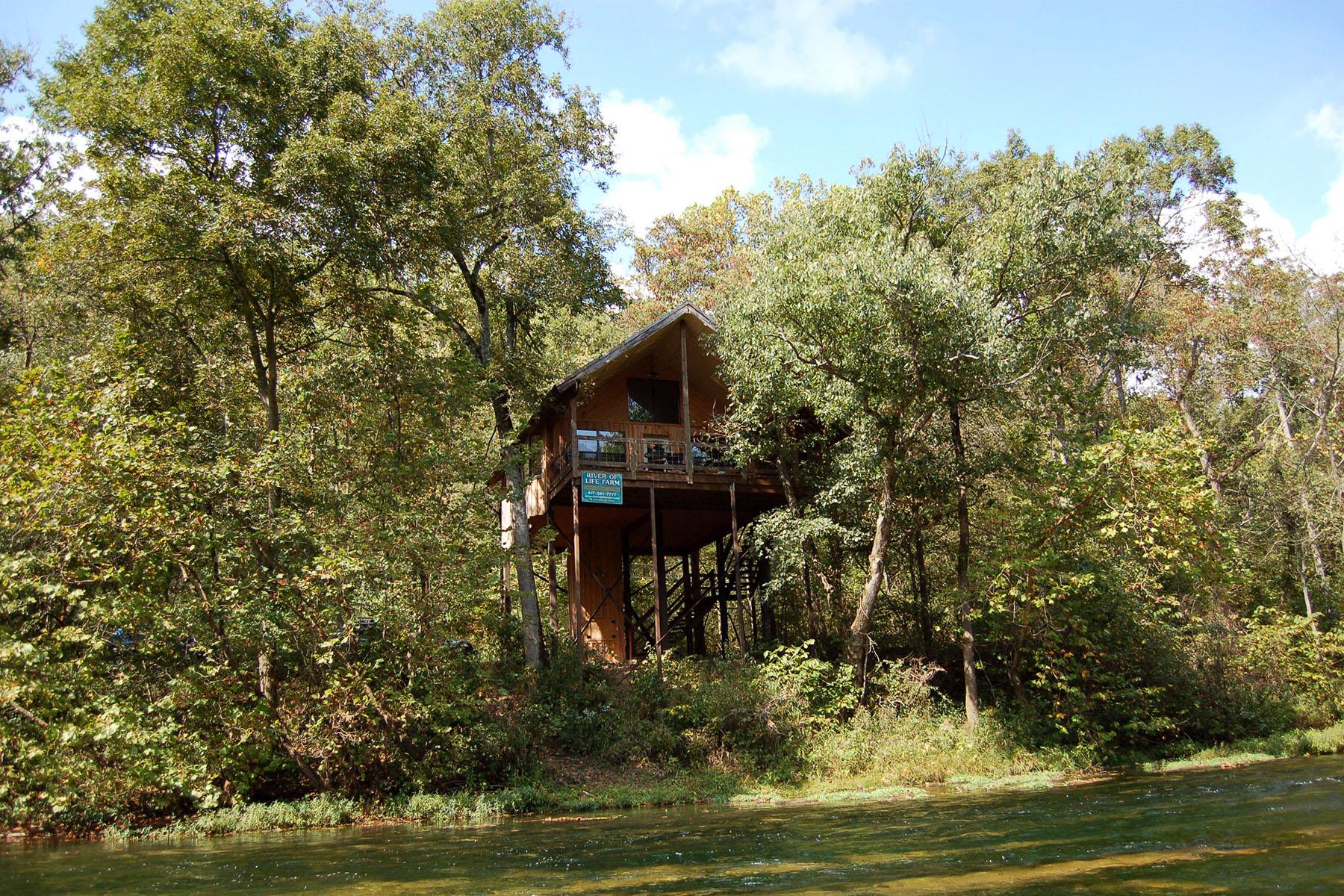 10 Tree-House Hotels in the U.S.