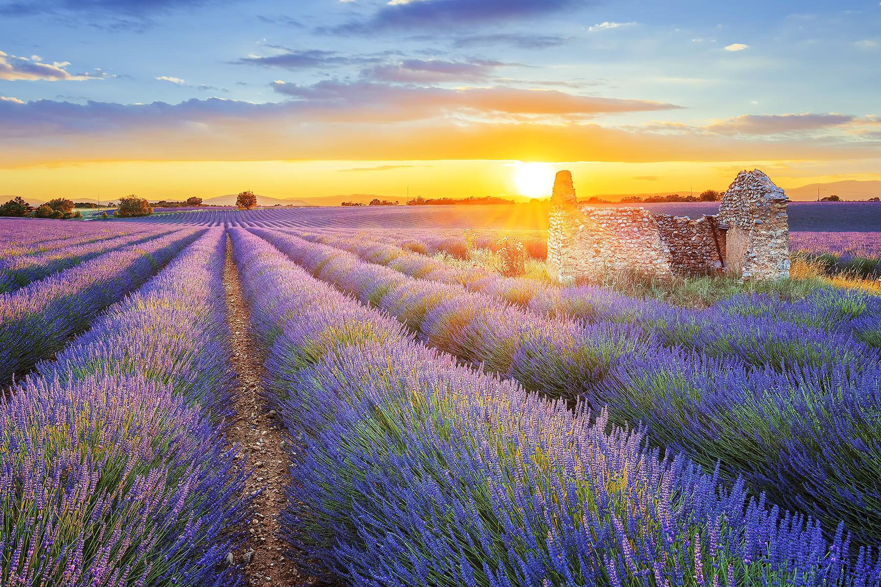 Officier verlangen Berouw The 15 Best Towns in Provence, France – Fodor's Travel Guide