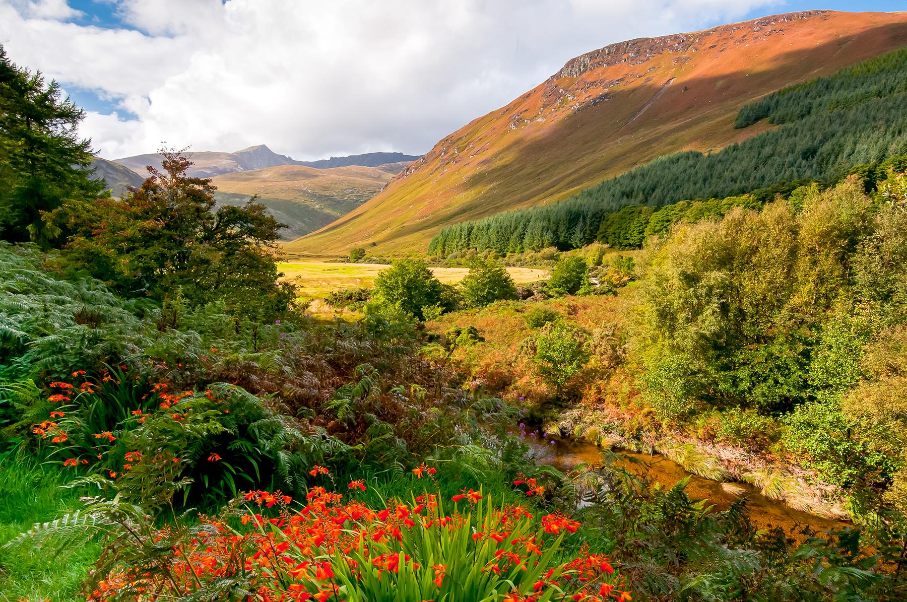 The Isle of Arran is the Best Island to Visit in Scotland
