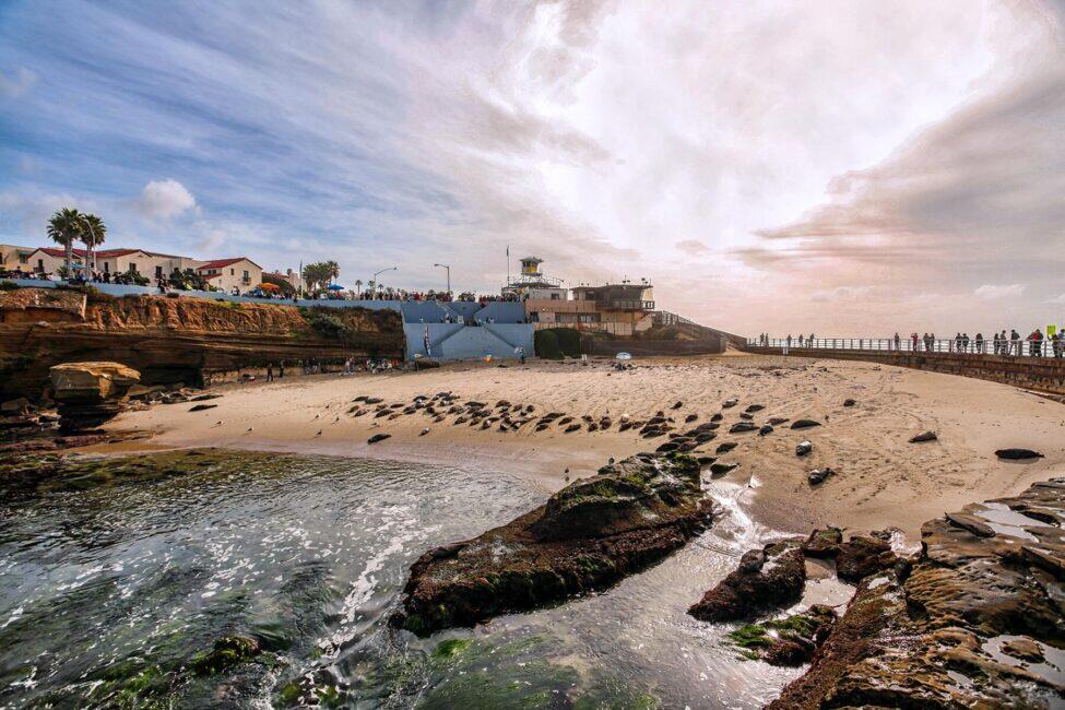 The Best Things to See and Do in San Diego, California