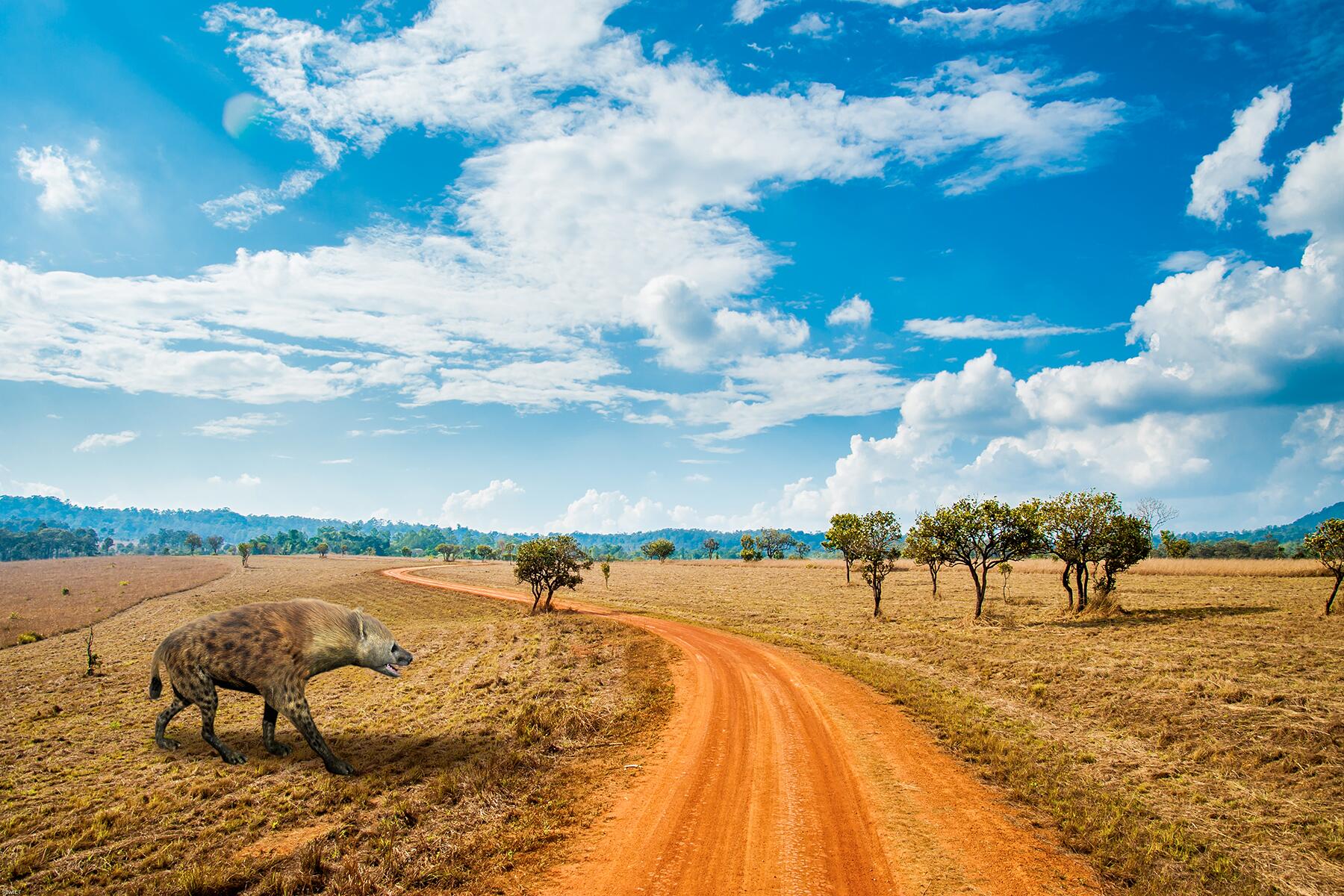 Sighting of mokele-mbembe in the savannah at night