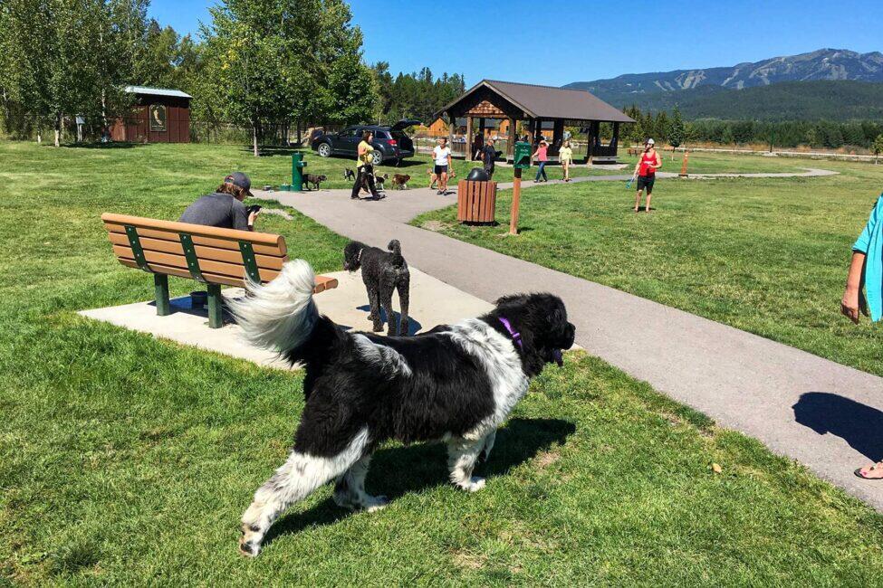 The 10 Best Dog Parks in the United States