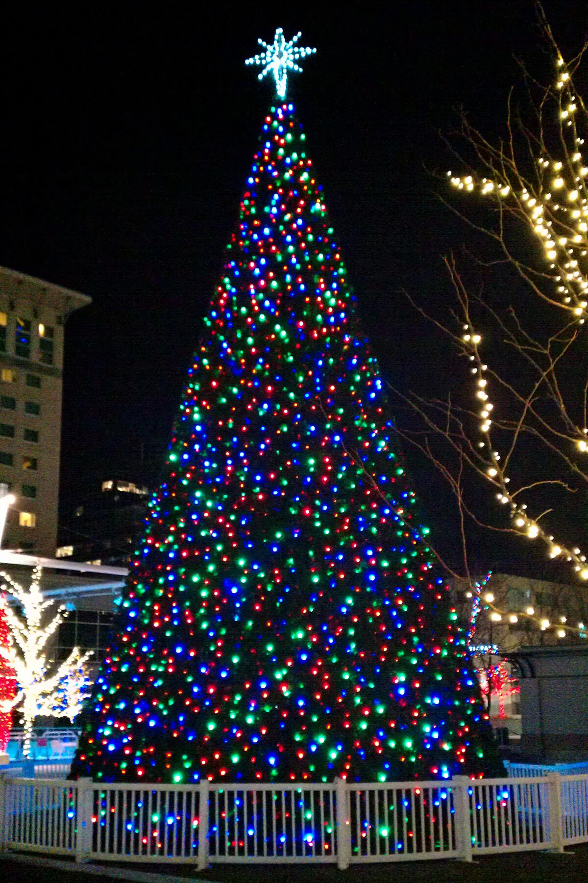 44_ChristmasLightsEveryState__Utah_44 48940063272_0d3b62716a_o