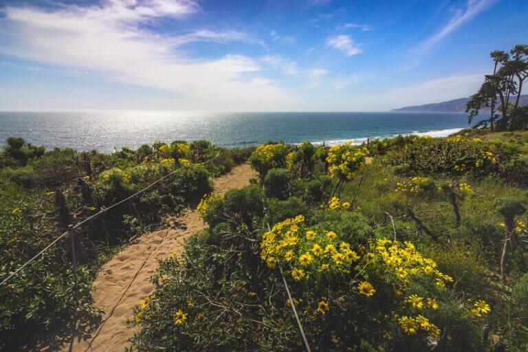 <a href='https://www.fodors.com/world/north-america/usa/california/los-angeles/experiences/news/photos/the-best-and-worst-beaches-in-los-angeles-california#'>From &quot;The 5 Best (and 5 Worst) Beaches in Los Angeles: BEST: Point Dume State Beach&quot;</a>