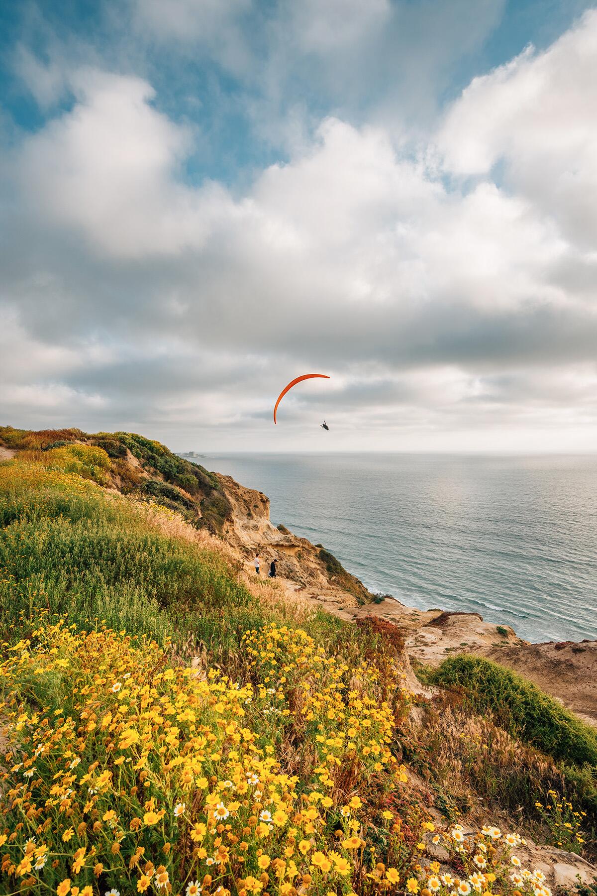 <a href='https://www.fodors.com/world/north-america/usa/california/san-diego/experiences/news/photos/best-beaches-in-san-diego#'>From &quot;The 10 Best Beaches In San Diego: Torrey Pines State Beach&quot;</a>